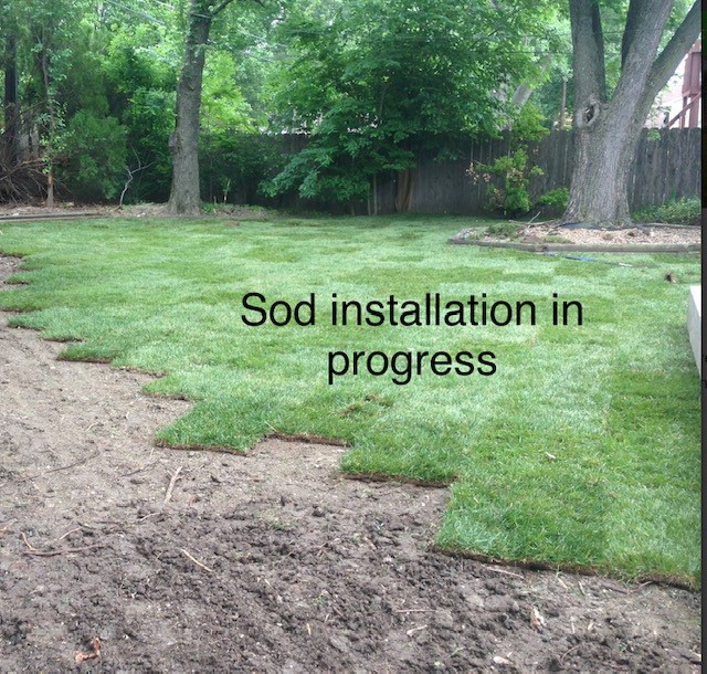 Sod Installation