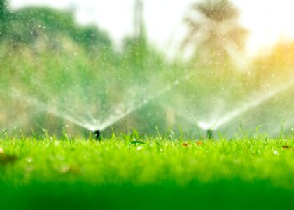 irrigation water restrictions for Tampa and Hillsborough County