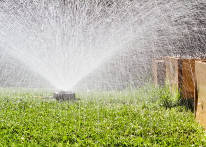 irrigation system spraying bright green grass