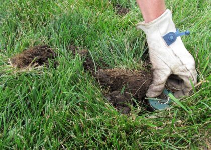 Sprinkler repairs South Tampa - Image of technician digging up broken sprinkler head for repair.